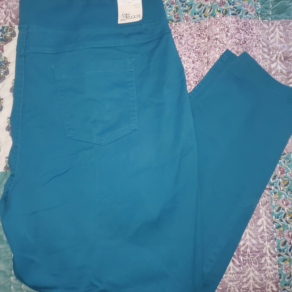 Terra & Sky Plus Size Jeggings Teal 2X NWT